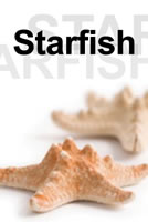 starfish_flow